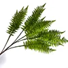 Light-colored fern leaves.