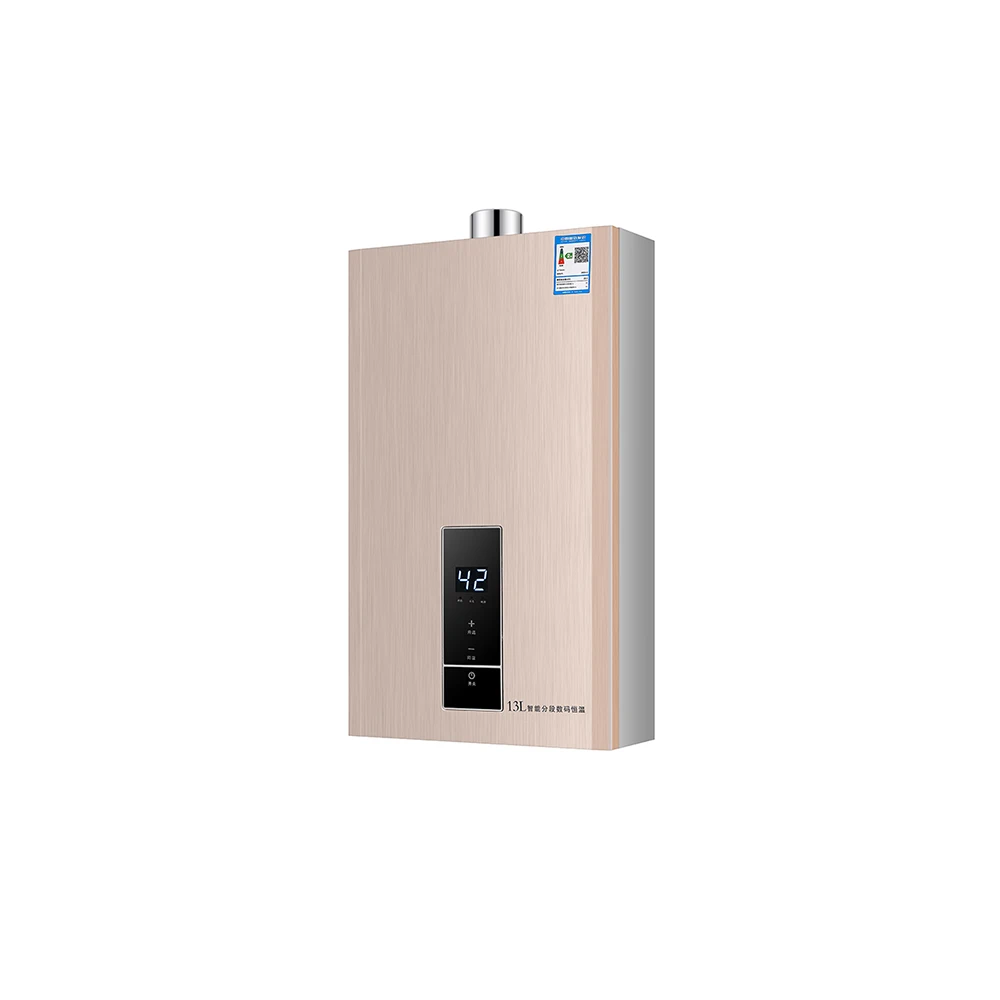 Intelligent Thermostatic Gas Water Heater (liquefied Gas) Pressurization And Double Antifreeze