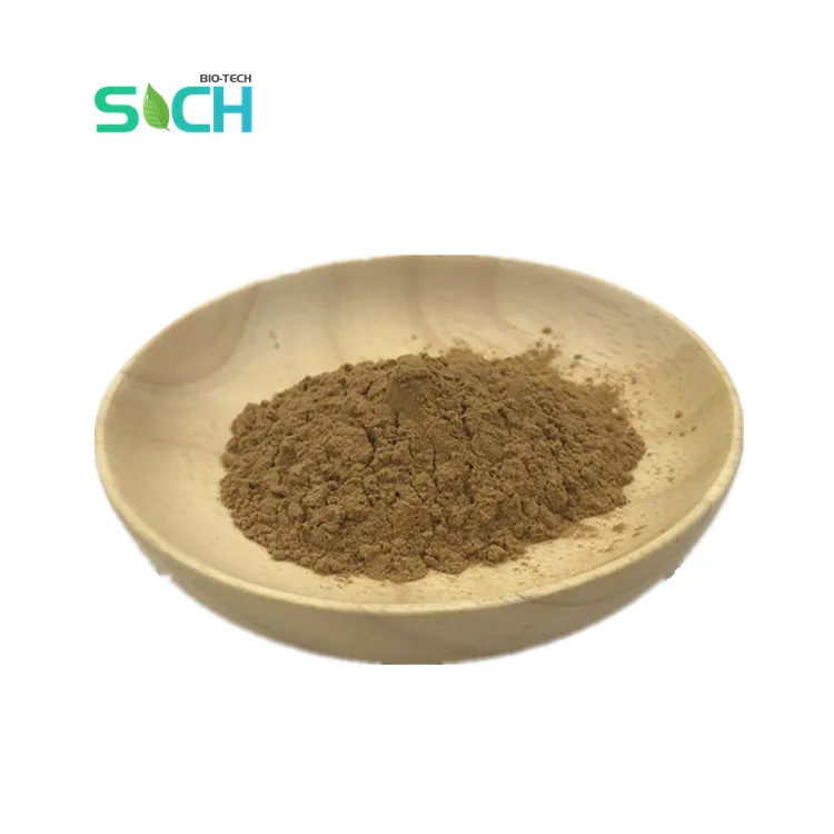 Free Sample Natural Frutescens Perilla Extract Purple Perilla Extract 10: 1 Perilla Leaf Extract Powder