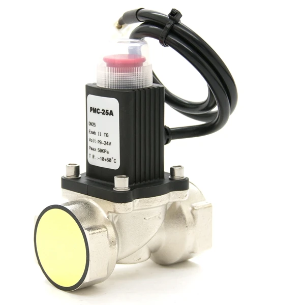 Home Security Alarm System Alarming Leak Gas LPG Natural Gas Emergency Shut Off Solenoid Valve