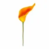 Amarillo Naranja