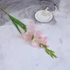 Rosa claro