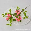 Short-branched island spring flowers - rose red