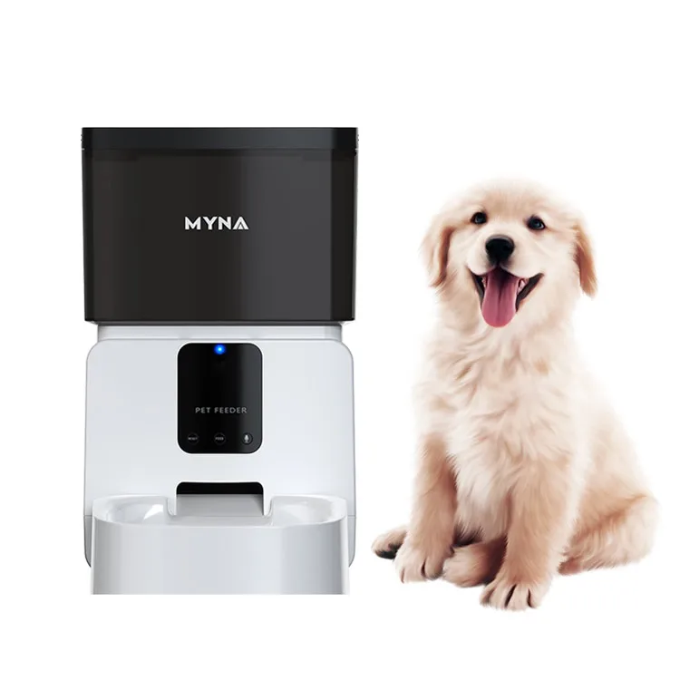 automatic cat feeder microchip