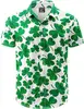 F89-Irlandese-1