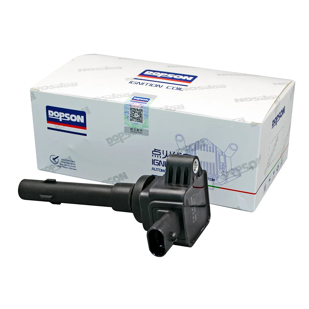 DS2114 Ignition Coil 27300-39050 for Geely JLB Protonx70