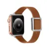 brown band silver buckle