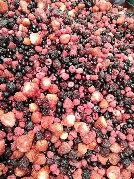 Bulk Packing Frozen Fruit IQF Frozen Mixed Berries with Blackberry Strawberry Blueberry Raspberry