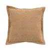 Brown2