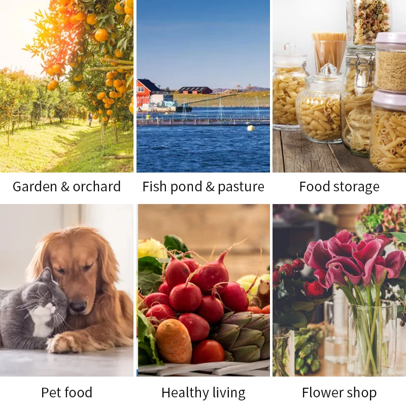 Household 6kg 8kg Fruit Food Mini Vacuum Dried Home Freeze Dryer Lyophilizer With Oil Free Vacuum Pump Machine USA Instock