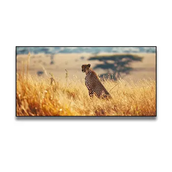 African Art Grassland Animal Photography  Painting wall decoration Painting Modern Home Living Room Decor Framed