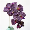 Grayish purple