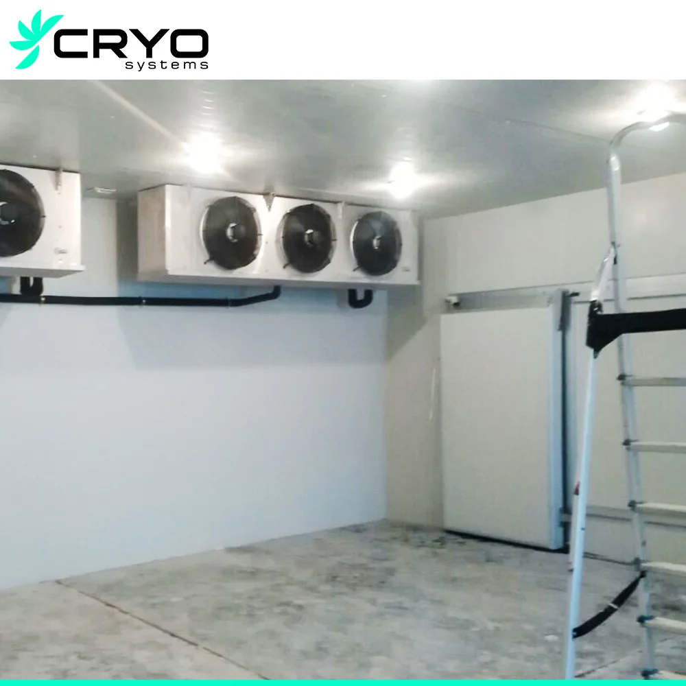 Cold Room for Poultry Meat specialized Butchery Cold Room Suitable Freezer for Cold Room