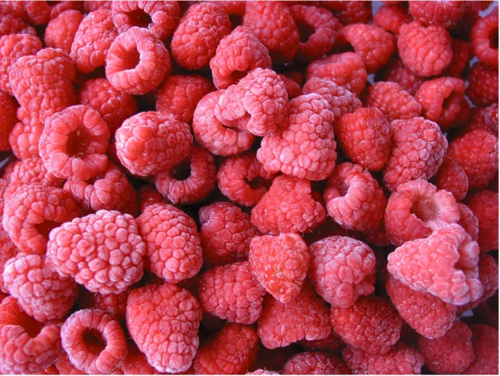Hot Selling IQF Frozen Raspberry Whole Fruits Good Price Bulk Packaging Durian Type-Freshly Picked and Frozen at Peak Ripeness