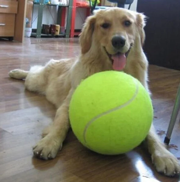 giant kong tennis ball