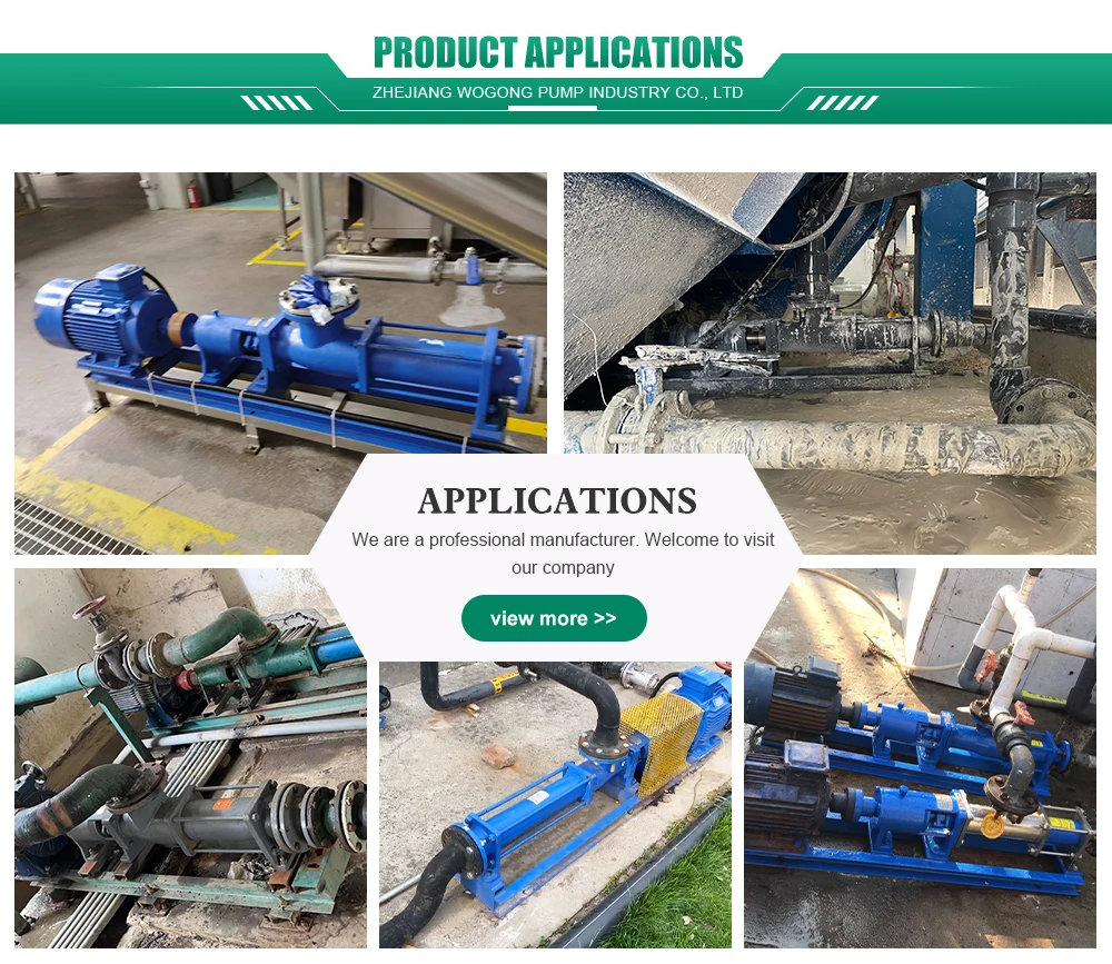 Food Grade Electric Progressive Cavity Pumps for Wastewater