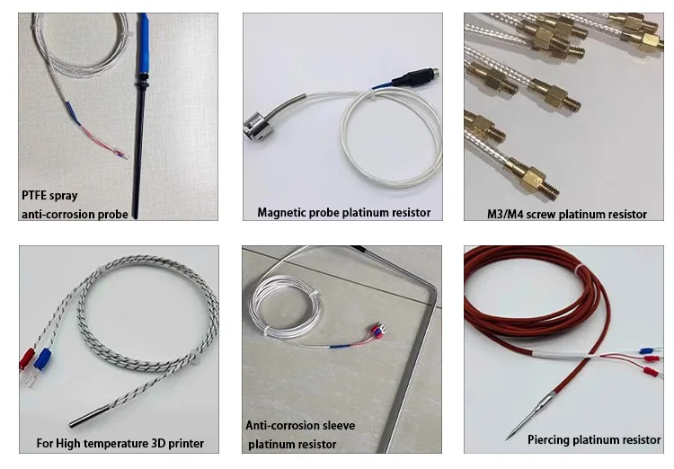 RTD Temperature Sensor
