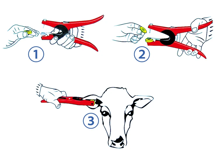 RFID bull ear tag-37.jpg