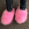 Pink fox