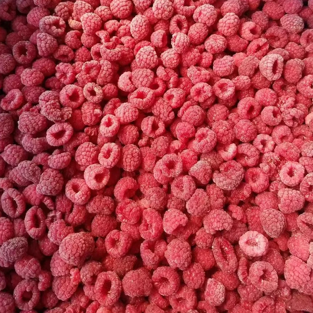 Alta Qualidade IQF Framboesa Congelada em Cubos Venda Direta de Fábrica Embalagem em Grande Quantidade Fruta Direta Baixo Preço