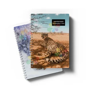 Manufacture Customizable Spiral Notebook A4 Size Custom School Notebook With Logo Hard Cover