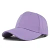 สีม่วง