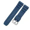 Blue-steel color buckle