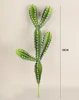 58 cm