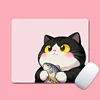 Gato gordito 0680
