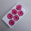 Sweet Pink 5-6cm
