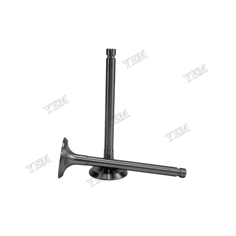 Exhaust Valve Fit for New Holland SNH4105 Engine 4