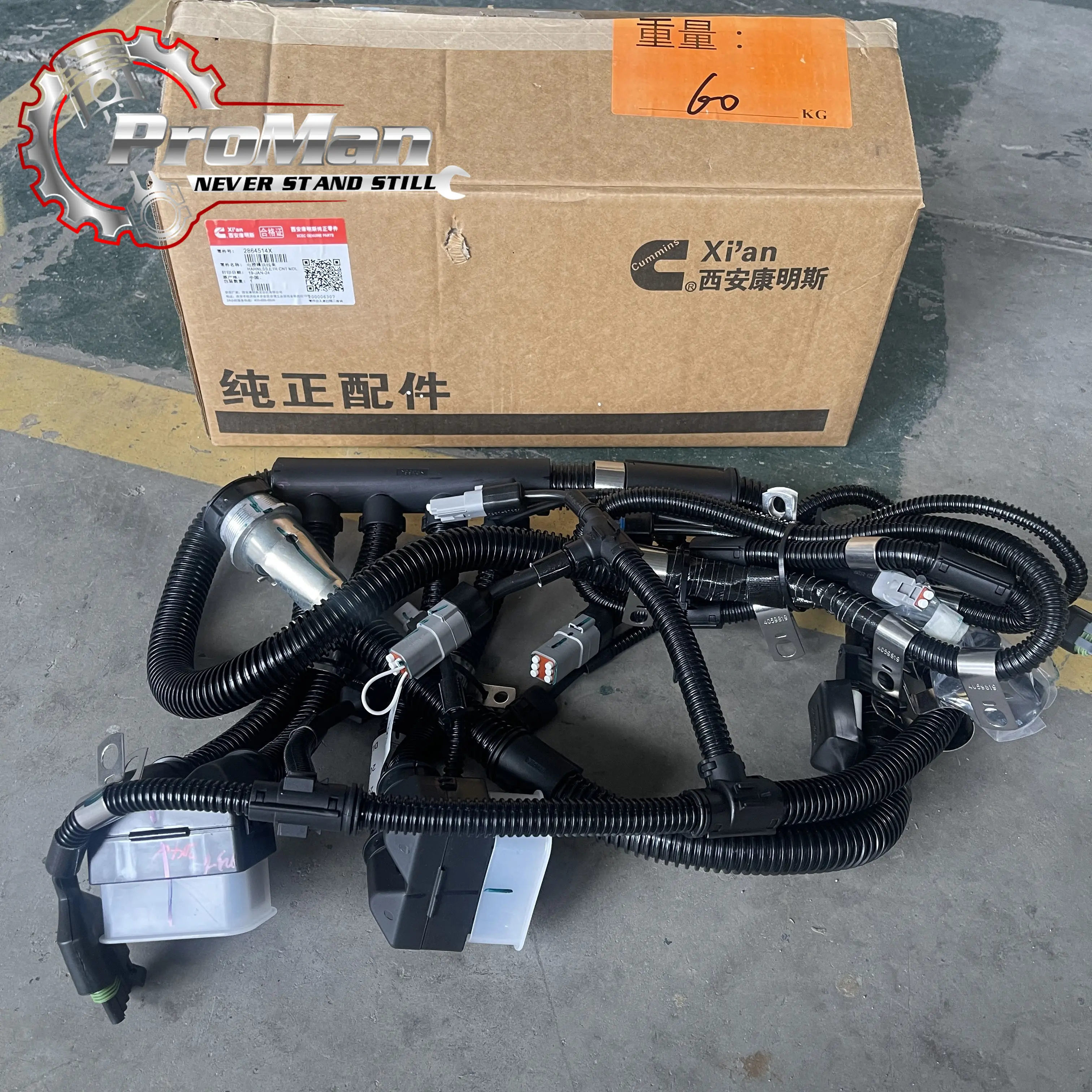 2864514X ECU Wiring Harness 4952746 2864514X Qsm ISM M11