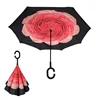 red peony
