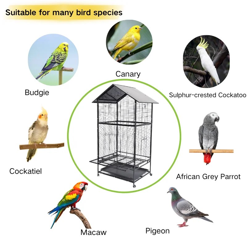 View of Alibaba.com: Factory price, waterproof and rust-proof large conure ...