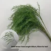 Erba di canna verde