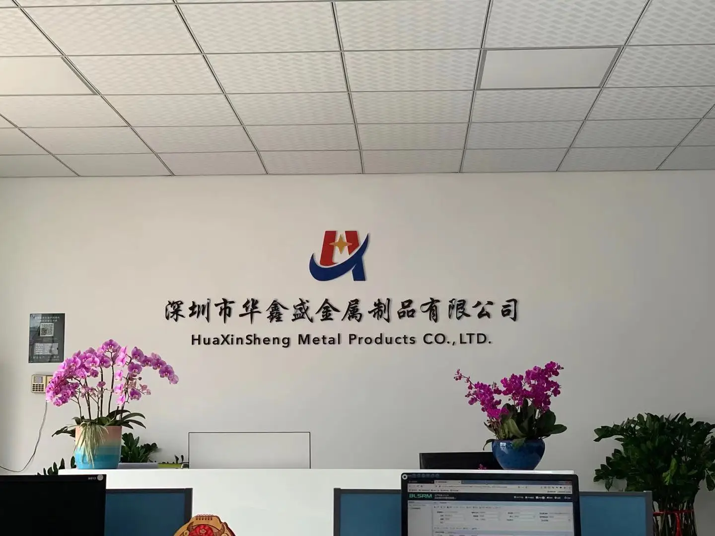 Shenzhen Huaxinsheng Gifts Co., Ltd.