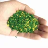 colorful J--30g