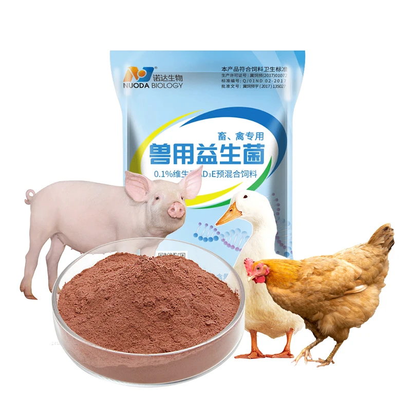 Animal Chicken Feed Additives Poultry Vitamin Premix Probiotics