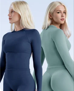 Wholesale Cheap Women's High Waist Gym Fitness Shorts Round Neck Long Sleeves Sport Top Set Hip Lift Seamless Workout Suits