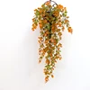 Vigne d'eucalyptus d'automne