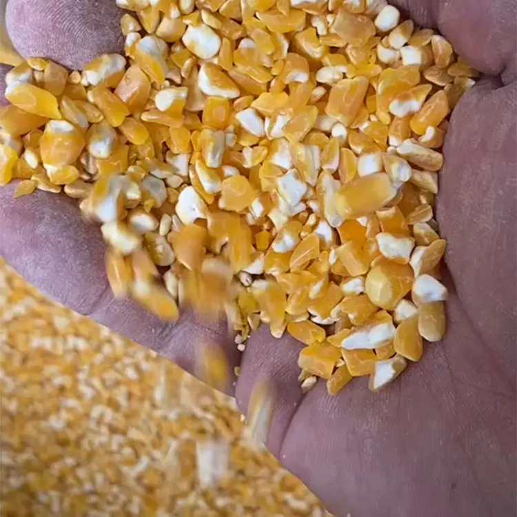 Corn Peeling Machine and Maize Mill Machine for Sale Ghana