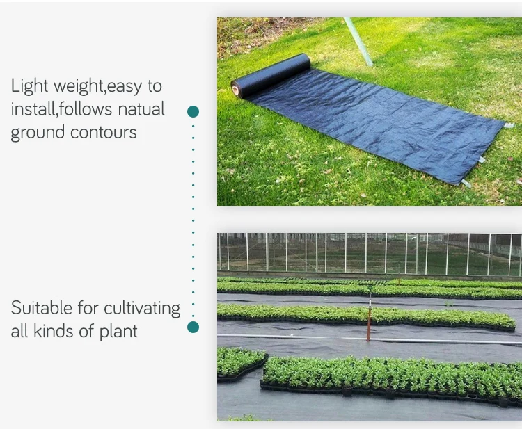 Garden Ground Cover Fabric / Weed Barrier Mat / Plastic Pp Anti Weed