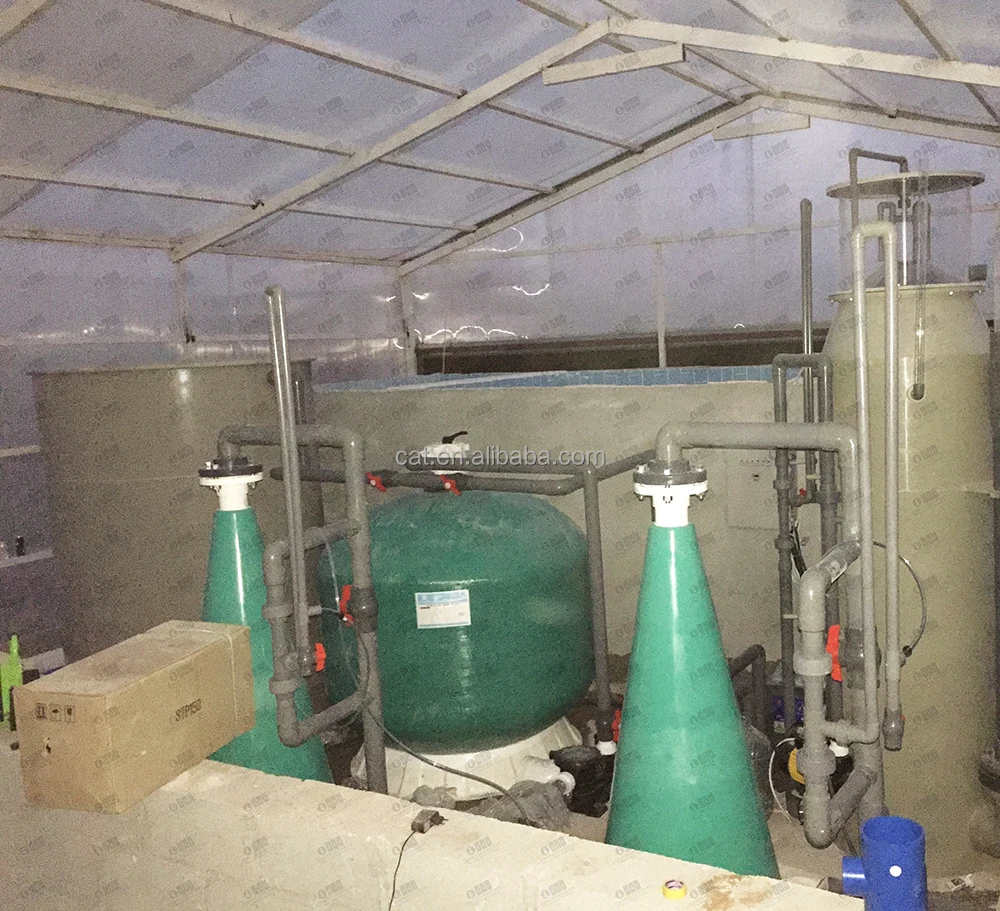Cataqua Uae Dubai Project Advanced Catfish Farming Equipment Indoor Tilaipia Fish Farming