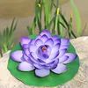 Purple-red Eva lotus flower [Leaves approximately 28cm]