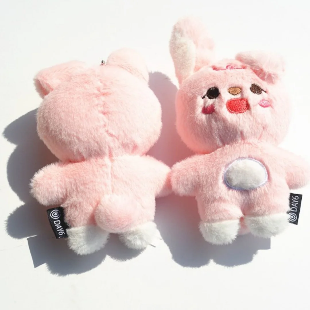 KPOP DAY6 Forever Young World Tour Plush Keychain Soft Eco