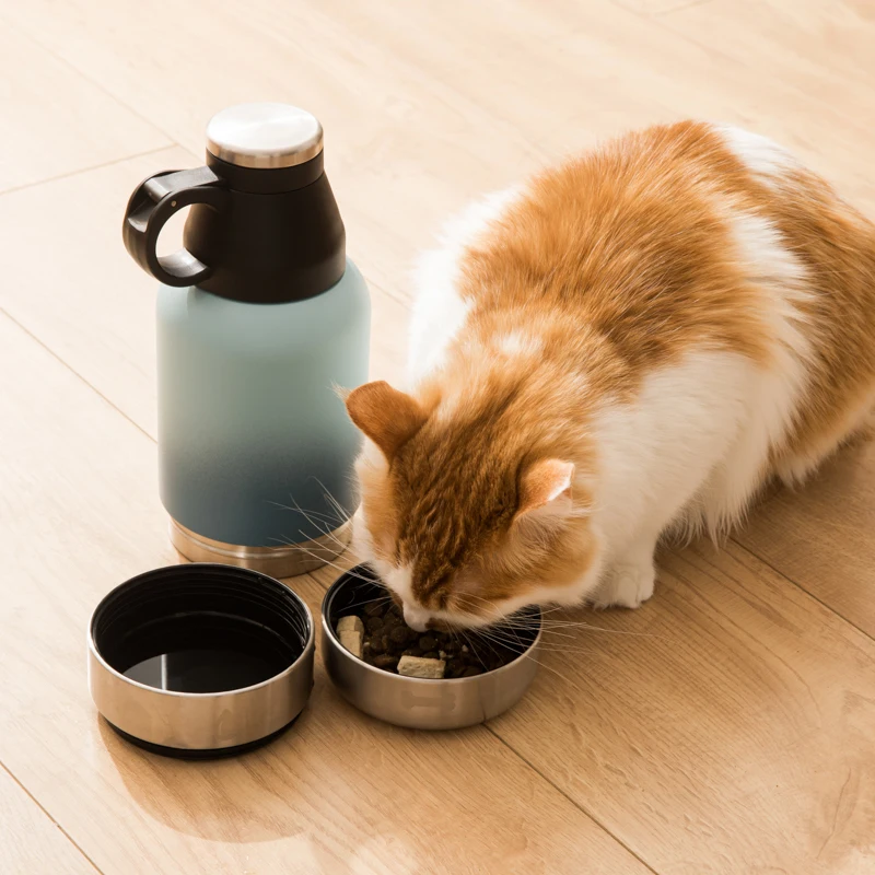 In Stock Free Sample 3 in 1  32oz 64oz Portable Single Dog Water Bottle Bowls Stainless Steel Insulated Outdoor Travel Drinking
