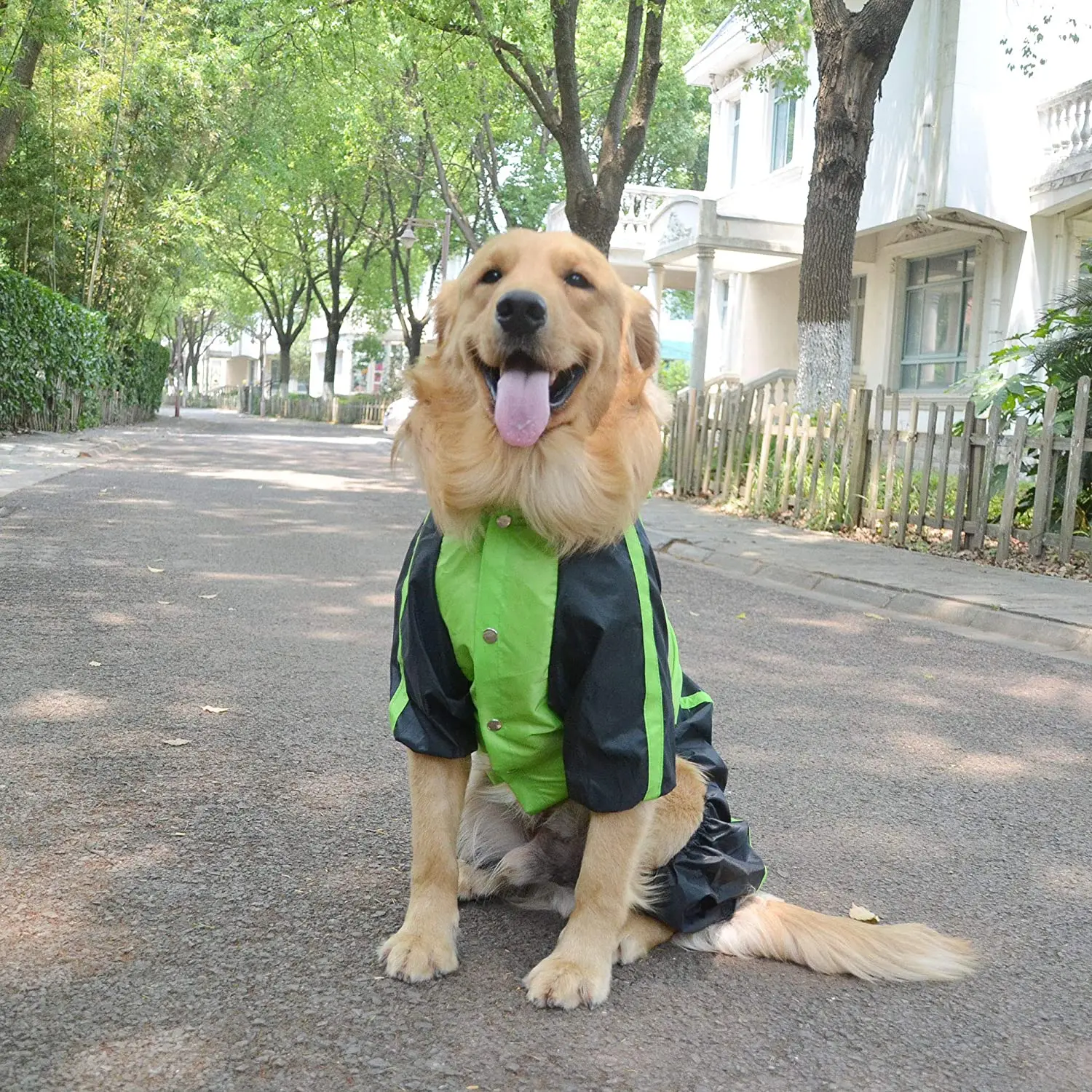 图片[2]-raincoat manufacturers dog rain coat - jinjiaraincoats-jinjiaraincoats