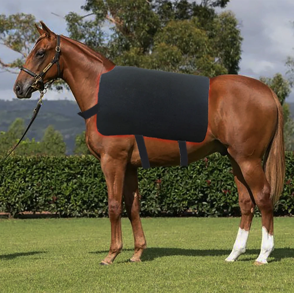 Infredred Rugs Red Light Therapy Horse Rug with 660nm and 850nm Infrared Heating Pad ...