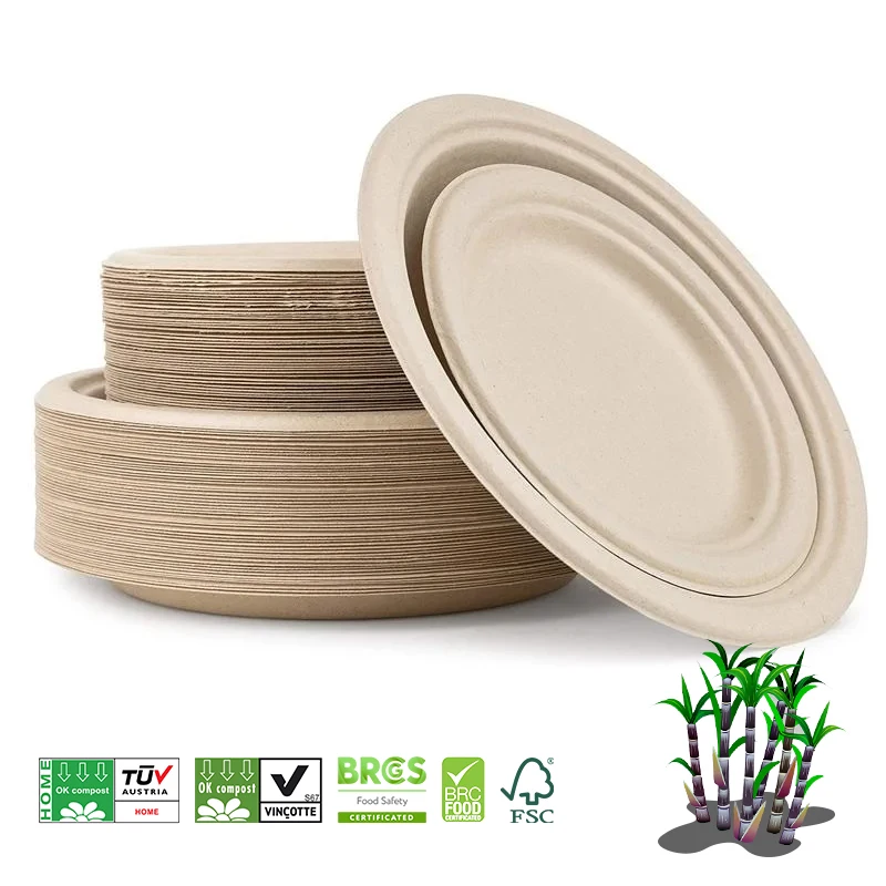 Small Paper Plates 6 Inch 100 Pack 6 Inch Compostable Plates ...