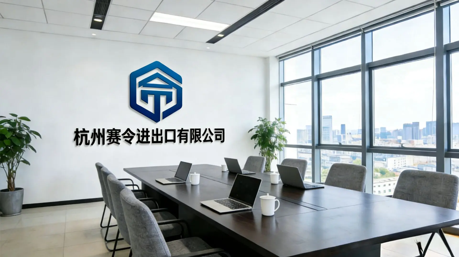 Hangzhou Sailing I/E Co., Ltd. 3